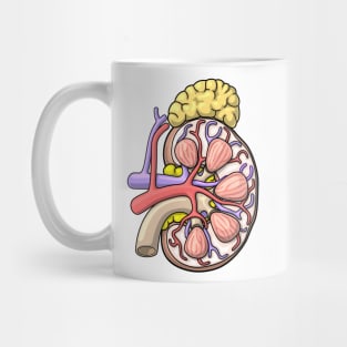 Human Kidney Anatomy Illustration - Nephrology Renal Diagram Mug